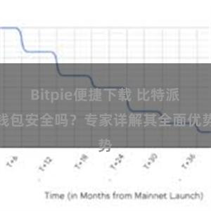 Bitpie便捷下载 比特派钱包安全吗？专家详解其全面优势