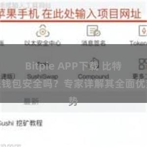 Bitpie APP下载 比特派钱包安全吗？专家详解其全面优势