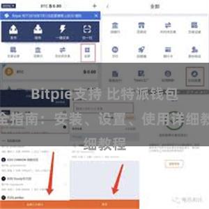 Bitpie支持 比特派钱包完全指南：安装、设置、使用详细教程