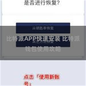 比特派APP快速安装 比特派钱包使用攻略