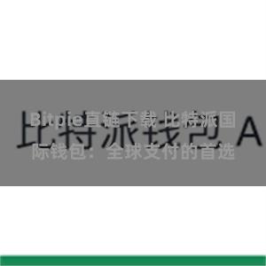 Bitpie直链下载 比特派国际钱包：全球支付的首选
