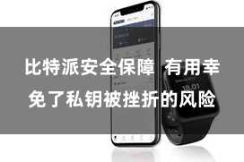 比特派安全保障  有用幸免了私钥被挫折的风险