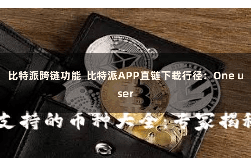 比特派跨链功能  比特派APP直链下载行径：One user