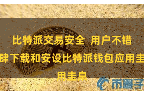 比特派交易安全  用户不错放肆下载和安设比特派钱包应用圭臬