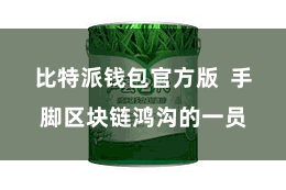 比特派钱包官方版  手脚区块链鸿沟的一员