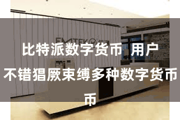 比特派数字货币  用户不错猖厥束缚多种数字货币