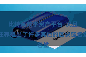 比特派数字资产平台  况且还养殖出了许多其他的区块链名堂