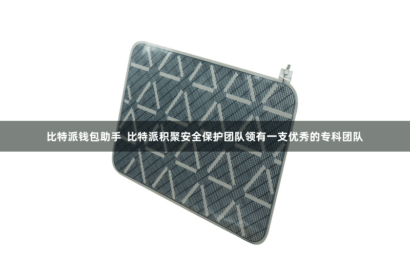 比特派钱包助手  比特派积聚安全保护团队领有一支优秀的专科团队